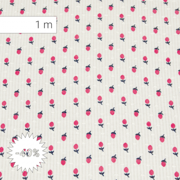 Lamponi - 1 M