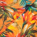 4320 - Tropical Ralph