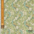 6202 - Foresta di Pavoni