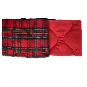 4667 - Cipolla Scozzese Rosso