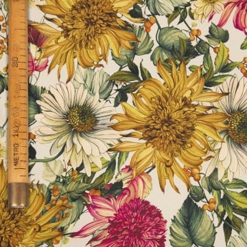 7102 - Impressioni