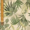 211 - Tropico del Cancro