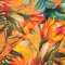 4320 - Tropical Ralph