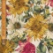 7102 - Impressioni